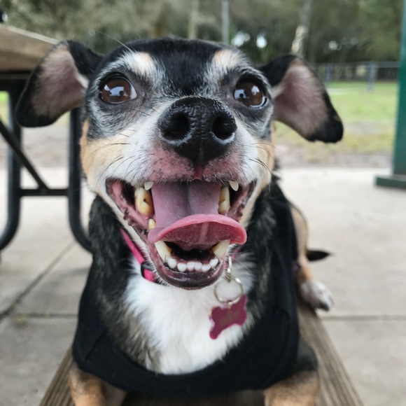 Meet your Posher, Kimberly - Picture 2 of 2